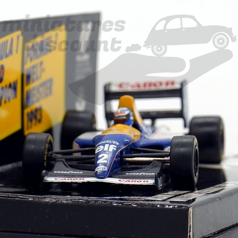 Williams Renault FW15 - Etoile Auto49