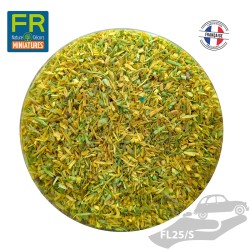 Flocage bois bouleau...