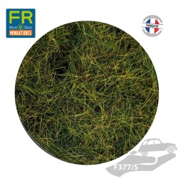 Flocage Herbe gazon HO vert...