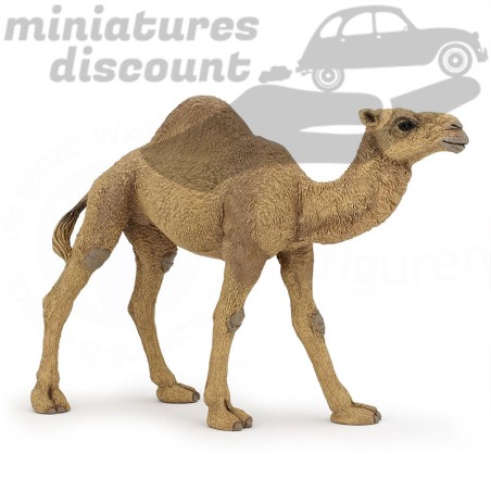 Figurine d'un Dromadaire- Papo en pvc